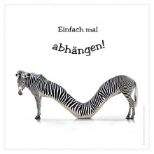 Brillenputztuch mit Designmotiv Tiere Zebra