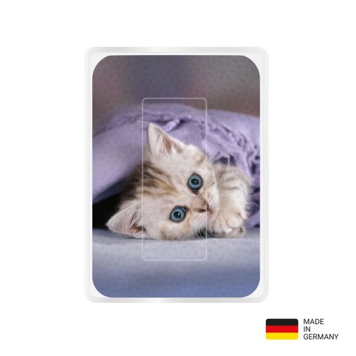 PocketCleaner® mit Designmotiv Katzen Lila