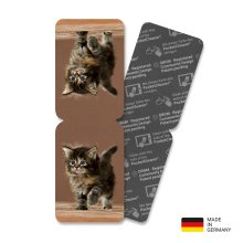 PocketCleaner® mit Designmotiv Katzen Lila