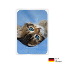 PocketCleaner® mit Designmotiv Katzen Braun