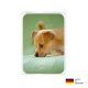 PocketCleaner® mit Designmotiv Hunde Gelb