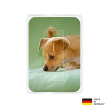 PocketCleaner® mit Designmotiv Hunde Grün